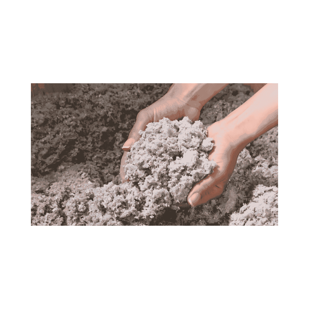 Ouate de cellulose