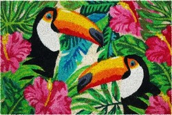 tapis entree toucan