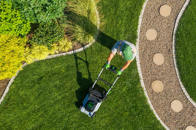 Personne qui tond sa pelouse avec tondeuse électrique