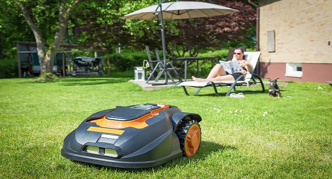 Tondeuse robot dans un jardin