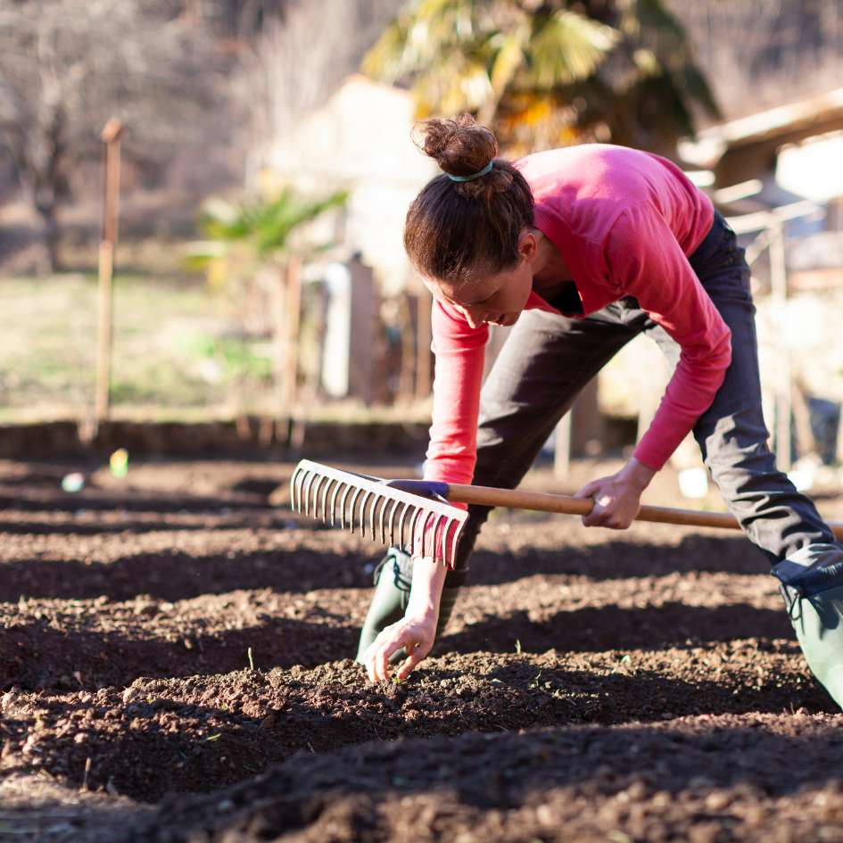 Femme qui prépare son potager avec un râteau