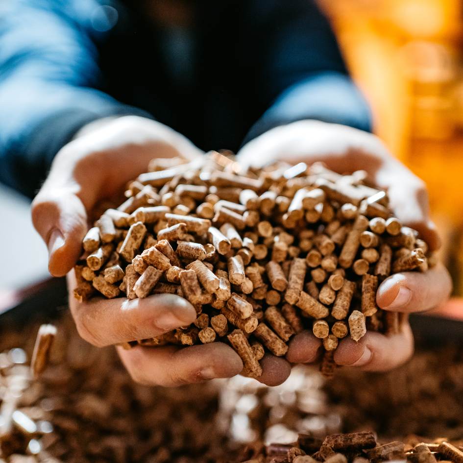 Personne qui tient une poignée de pellets de bois