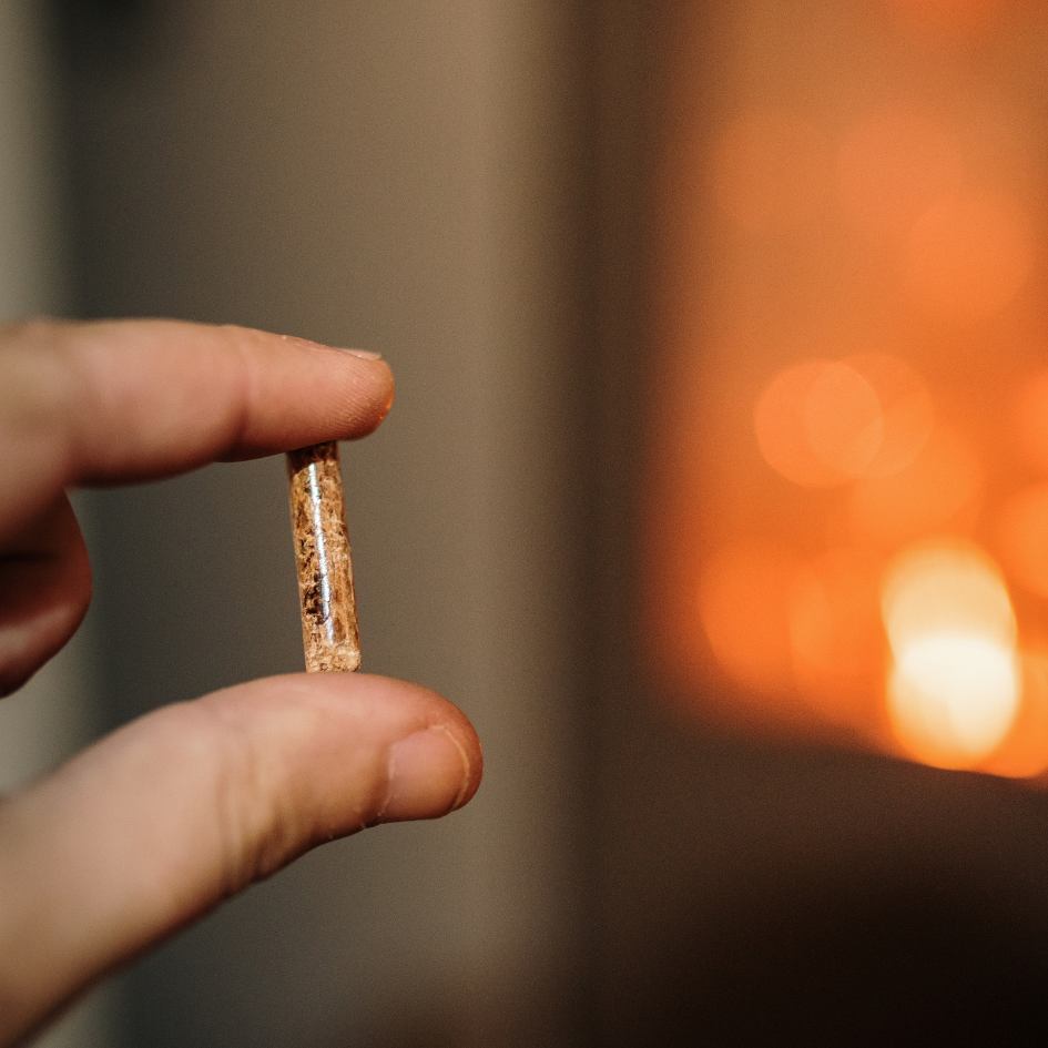 Personne qui tient un pellet de bois entre son pouce et son index